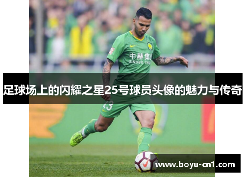 足球场上的闪耀之星25号球员头像的魅力与传奇